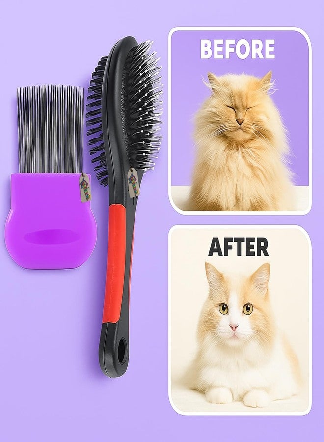 ويستيرن إرا مجموعة العناية بالحيوانات الأليفة من ويسترن إيرا ٢ في ١ للكلاب والقطط | إزالة القراد والبراغيث | فرشاة مزدوجة الجوانب ومشط للبراغيث | مجموعة العناية بالحيوانات الأليفة | إزالة الشعر الزائد وفك التشابك يومياً (عشوائي) - Image 4